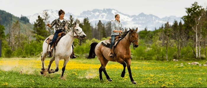 Confident plus-size woman riding Peak Dale a horse through a field with a smile on her face.